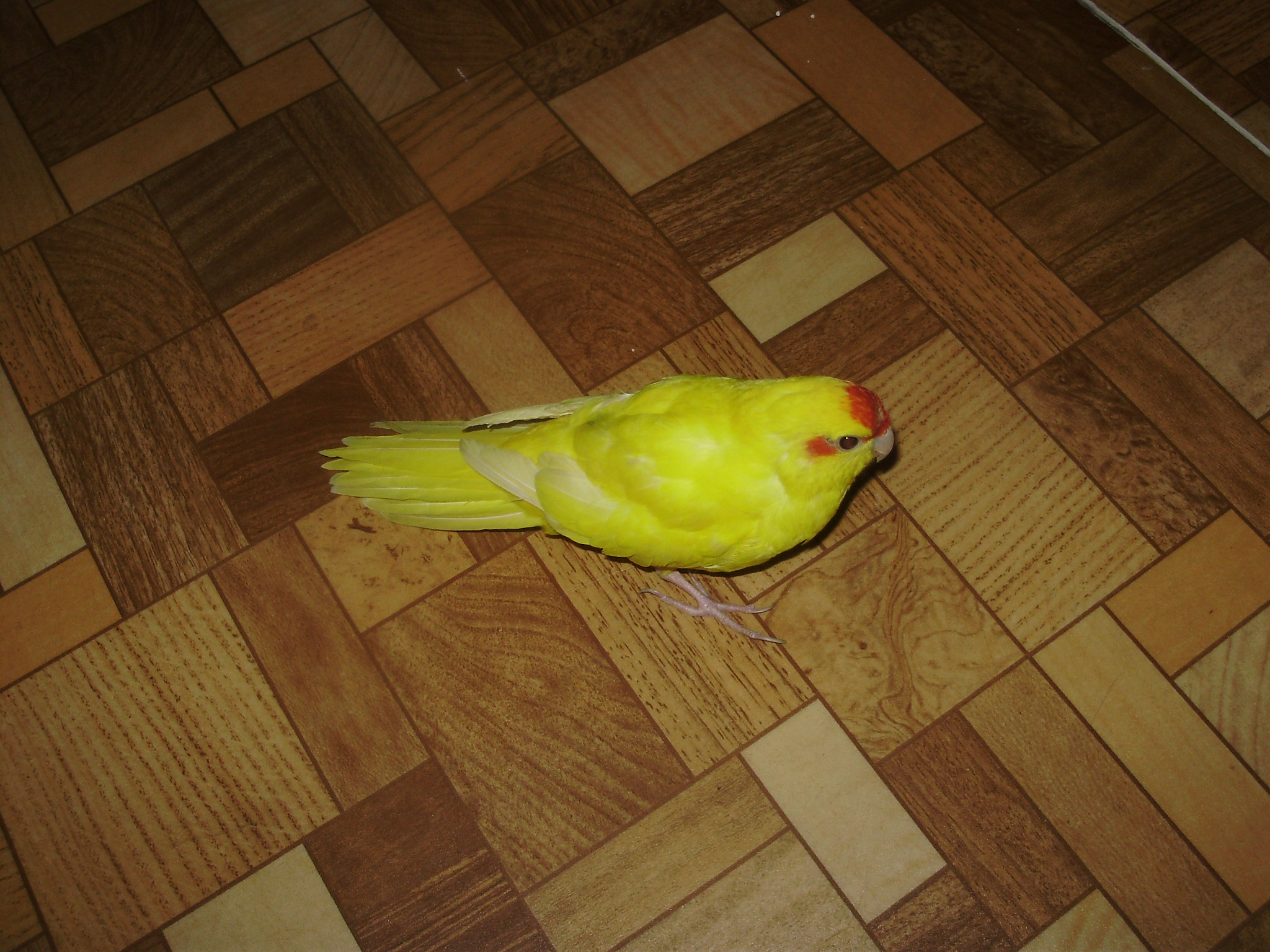 P1280520.JPG