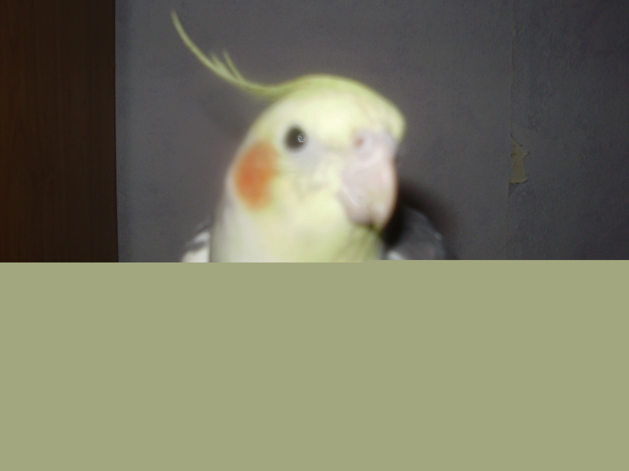 PC300346.JPG